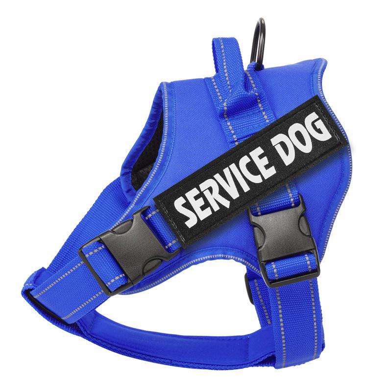 Dog Leash Spot: Medium/Large Labrador Vest-Style Harness