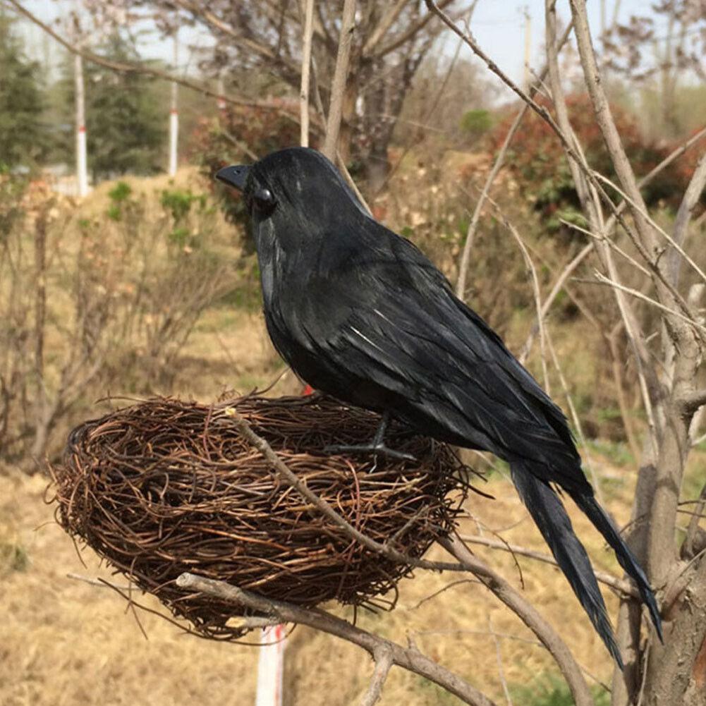 Fake Crows Set of 2 Realistic Halloween Props for Themed Parties and Outdoor Displays Perfect for Scare Tactics