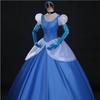 Premium Quality Gorgeous Princess Cinderella Cosplay Costume For Women With Accessories
