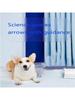 5pcs of highly absorbent pet diaper pads suitable for dogs, disposable leak proof control puppy and kitten training