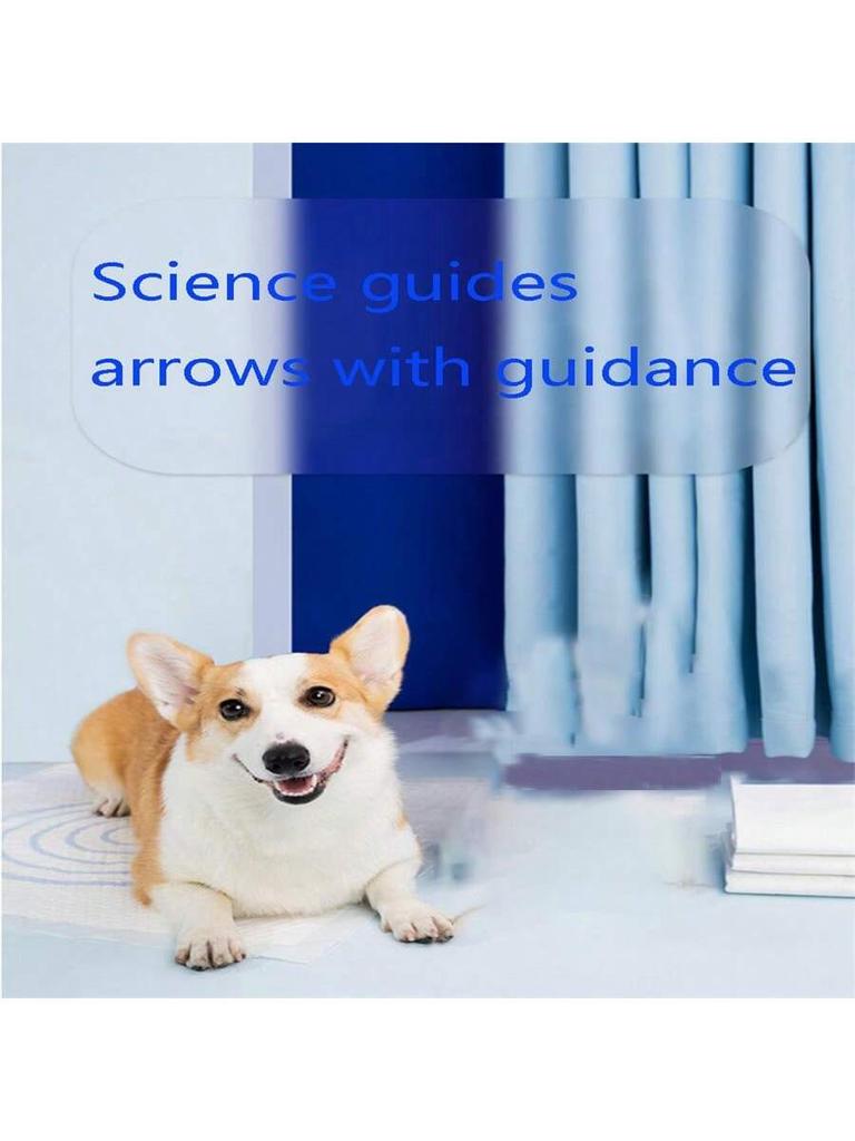 5pcs of highly absorbent pet diaper pads suitable for dogs, disposable leak proof control puppy and kitten training