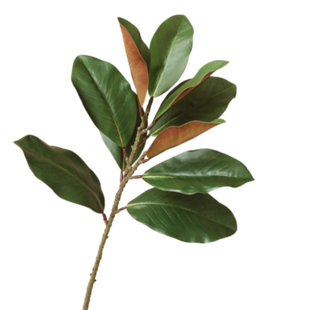 Real Touch Artificial Magnolia Leaf Branches Lifelike Simulated Green Plants  Outdoor Garden Decor