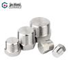 Guwanji 304 Stainless Steel External Hex Tapered Pipe Plug