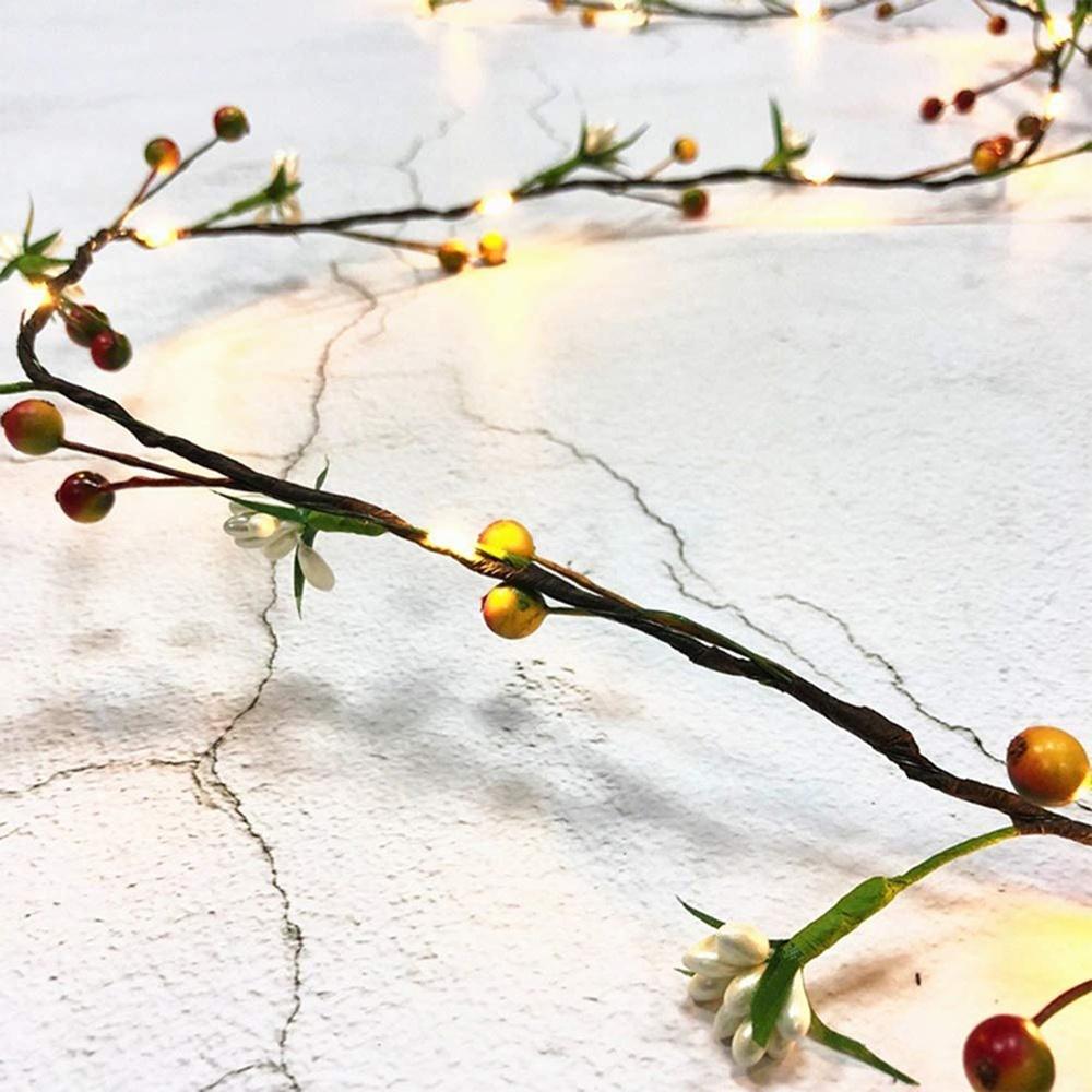New 2M 20leds AA Battery String Lights Fruit Copper Wire LED Lights Christmas Decoration Lights for Birthday Party Garland Wedding