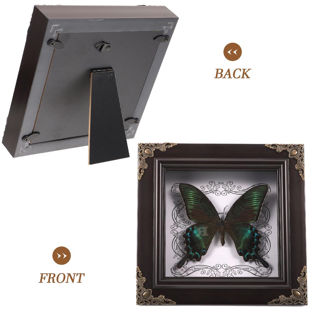 Rámeček na fotografii s motýlím exemplářem Vintage dekorace Hmyz Kancelářský zarámovaný set Nastavení obrázku Domácí ozdoba Dřevěný nástěnný závěsný display box