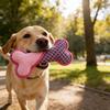 Plush Bone Dog Chew Toy Bite Resistant Squeaky Stuffed Bone Interactive Toy Small Medium Large Dogs Teething Cleaning Boredom Toy