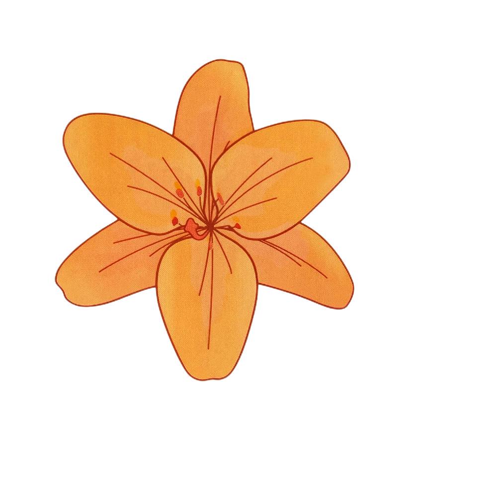 Double-Sided Waterproof Transparent Fly and Insect Sticky Trap Window Sticker