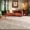 French Retro Living Room Decoration Carpets Thicken Bedside Rugs for Bedroom Large Area Home Non-slip Mat Washable Lounge Rug