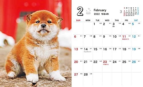 Shiba Inu Weather Mini (Impress Calendar 2022)