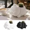 Personalized Holiday Gift 3D Printed Dinosaur Shaped Succulents Pot, Cute Planter for Small Modern Desk Accessory Cactus Mini Plants, Decorative