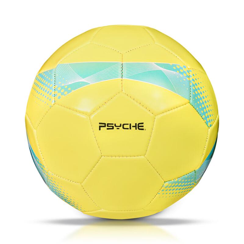 

PSYCHE Machine-Stitched PVC Football
