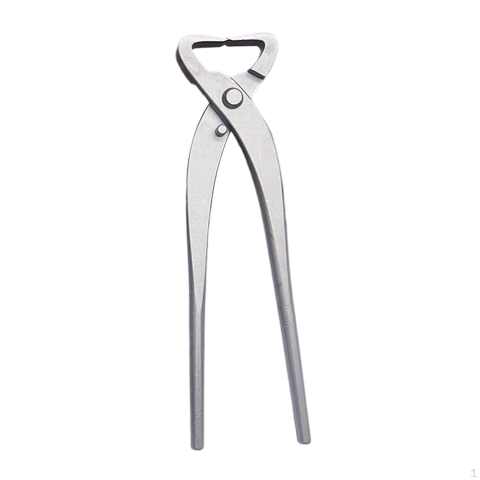 

Bonsai Cutting Tool, Pruning Shears, Scissors, Tumors, Knots, Gardener, Balcony, Pruning, Type C