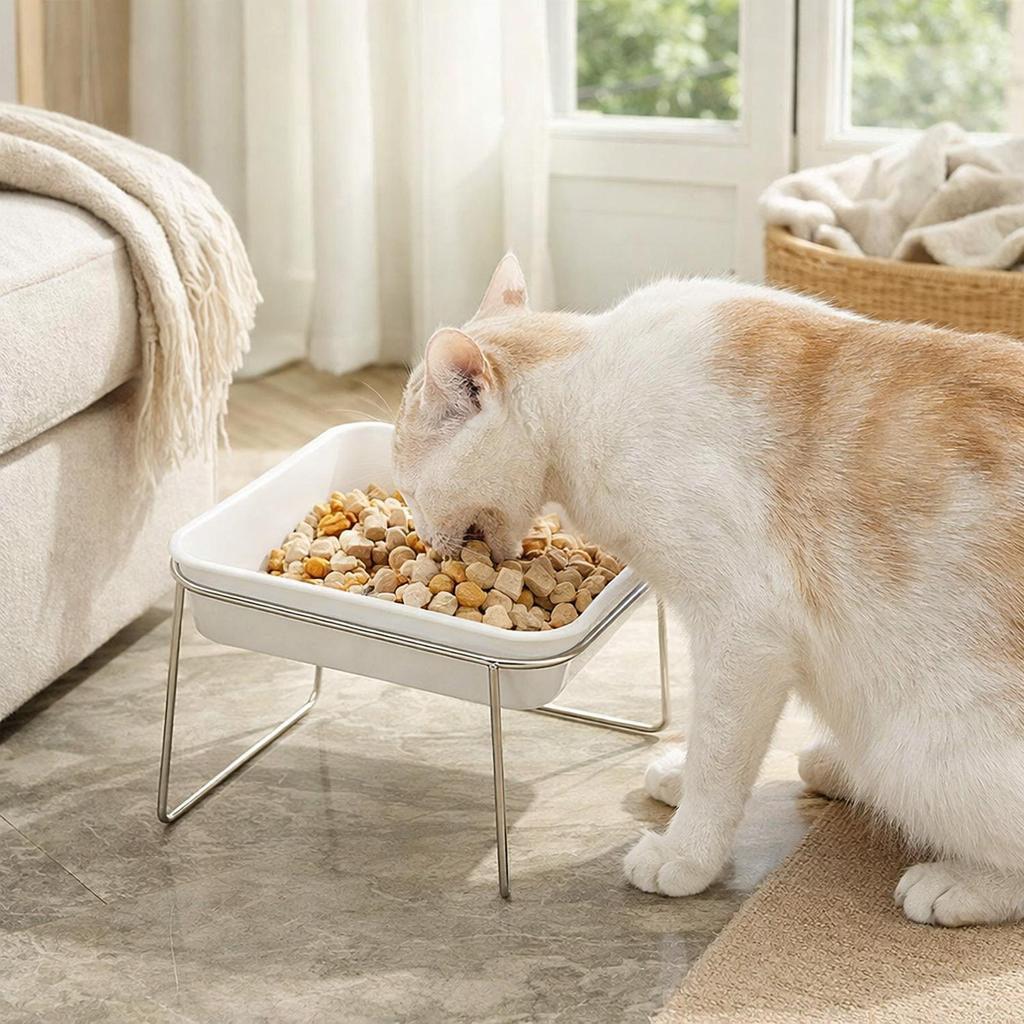 High Feeding Bowl for Cats and Dogs Slanted Ergonomic Design Detachable Easy Clean Stainless Steel Stand for Daily Meals