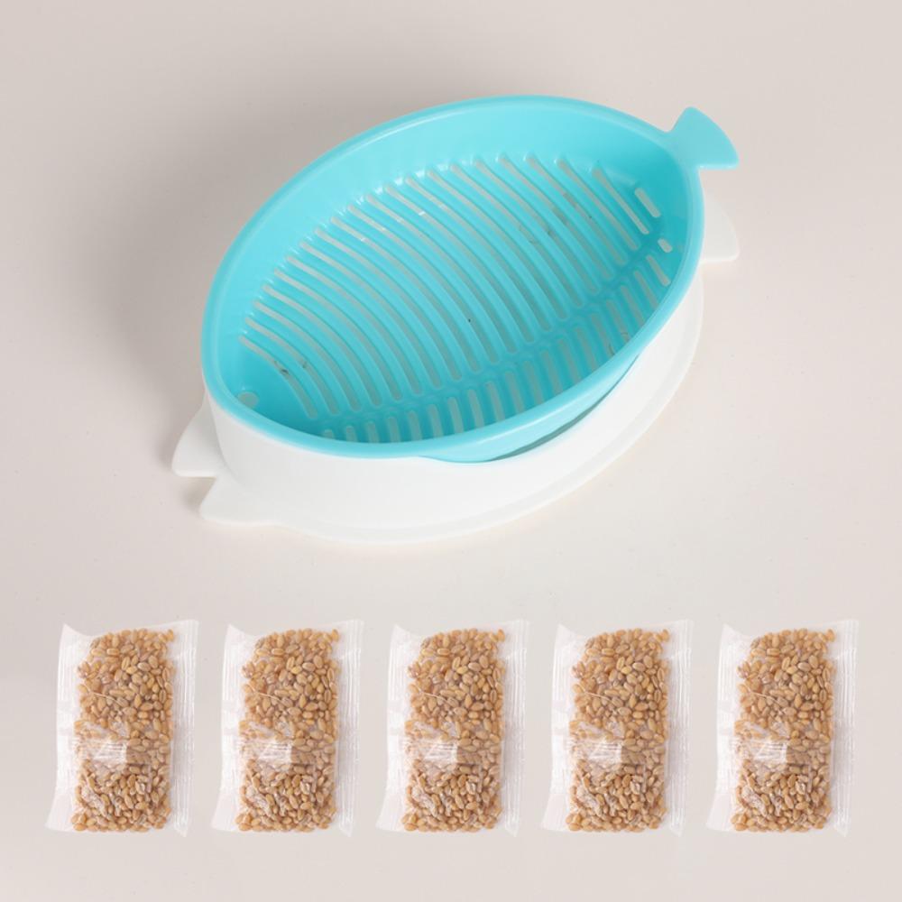 Seed Sprouter Tray Soil-Free Seedling Cat Grass Sprout Plate Hydroponic Plant Pots Pet Cat Sprout Dish Growing Pot Garden Supply