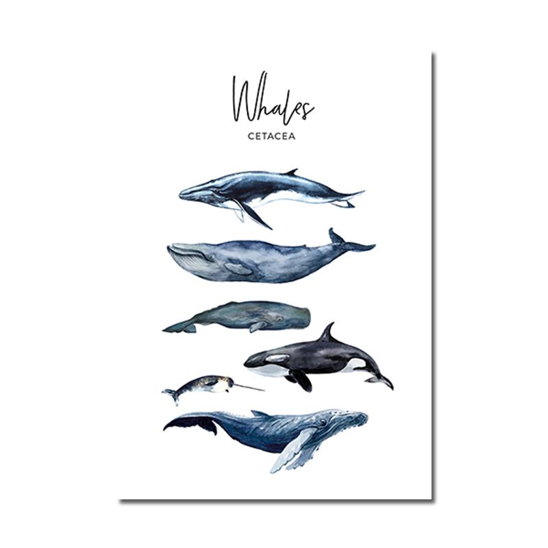 

Холст с изображением скандинавских животных, настенный постер для детской комнаты, синий кит, акула, принт, картина, морская современная картина для гостиной, домашний декор 60x80cm No Frame