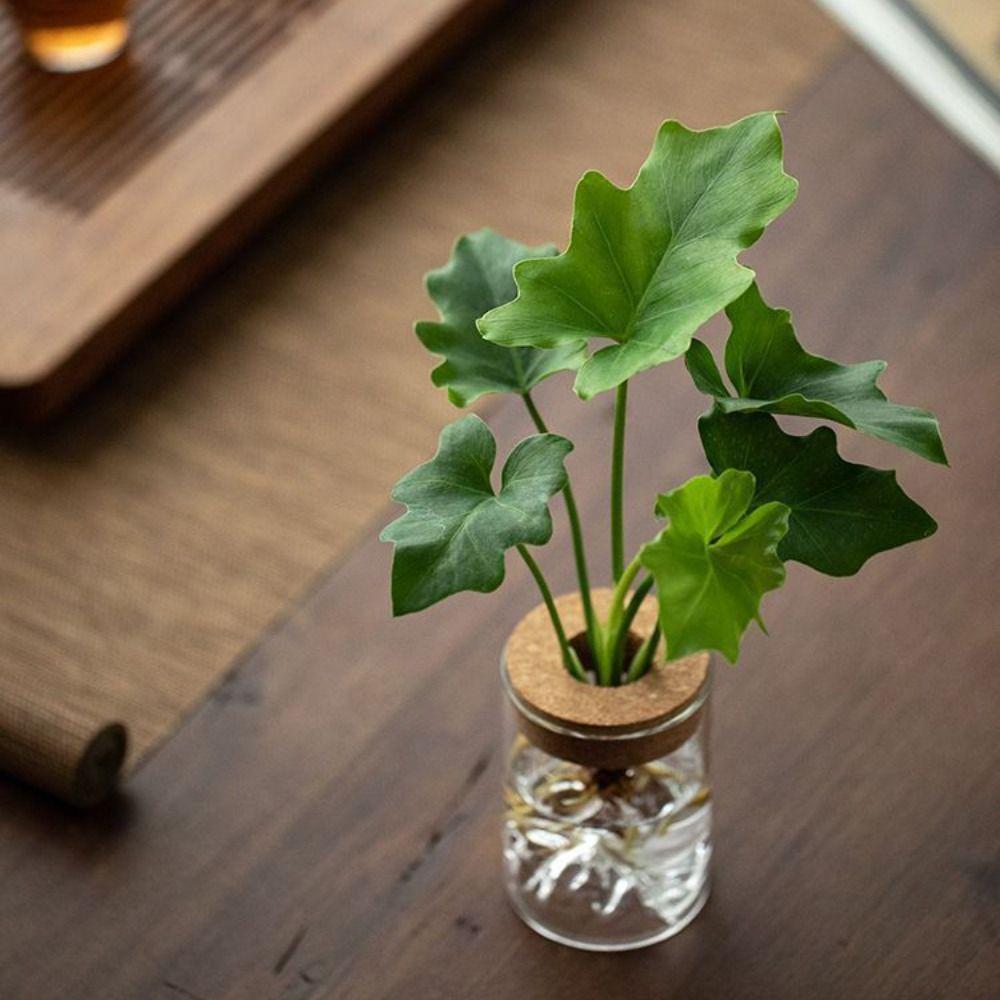 Thickened Hydroponic Flower Holder Glass Flower Pot Plants Holder Flower Vase  Desktop