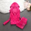2 Pieces of Women's Outfit Fall Winter Women's Tracksuit Crystal Hoodies and Pant Sets Y2K Velvet Tracksuit