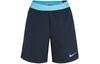 Casual Shorts Men's Dark Blue Moderate CJ1958-452