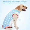 Dog Recovery Suit Blue Stars Pattern Prevents Licking Cotton Pet Surgical Bodysuit For Postoperative Recovery