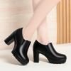 Round Head Deep Mouth Single Shoes Women's High Heel Thick Heel Versatile Spring and Autumn New Thick-soled Waterproof Table Women's Leather Shoes