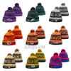 Lion Rugby Knit Hat, Dolphin Outdoor Warm Sun Hat, 49ers Hip Hop Ear Protection Hat