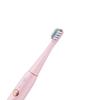Little Bear DYS-C01M5 Sonic Electric Toothbrush