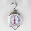 with Hanging Hook Luggage Scale Portable Weighing Apparatus Mechanical Hanging Scales  Supermarket