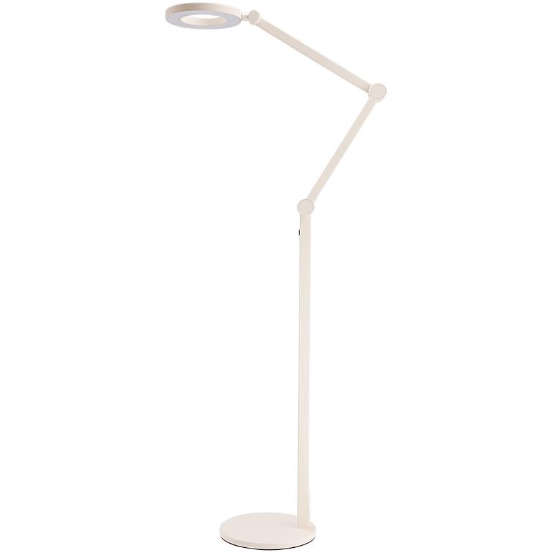 Paulmann Full Spectrum LED Eye-Care Floor Lamp