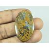 46Cts. Natural Pietersite Oval Shape Cabochon Loose Gemstone 23X39X04 MM G-195
