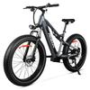 PASELEC TX19 PLUS Electric Adult Bicycle 500W Motor Men's E-Mountain Ebike  48V19.2AH Battery All-Terrain E-Bike 26*4.0 Inch Fat Tire Electric Bike