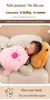 Capybara Plush Hand Warmer Pillow - Cute Winter Doll for Students