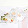 Flores de Orquídeas Artificiales Real Touch Flores Artificiales de Seda Falsa Flor Phalaenopsis Artificial con 5 Cabezas Florales para Decoración Interior del Hogar Mesa de Oficina