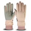 Winter Ski Gloves Touch Screen Women's Fleece Thickened Warm Cycling Electric Car Men's Waterproof Gloves Wholesale