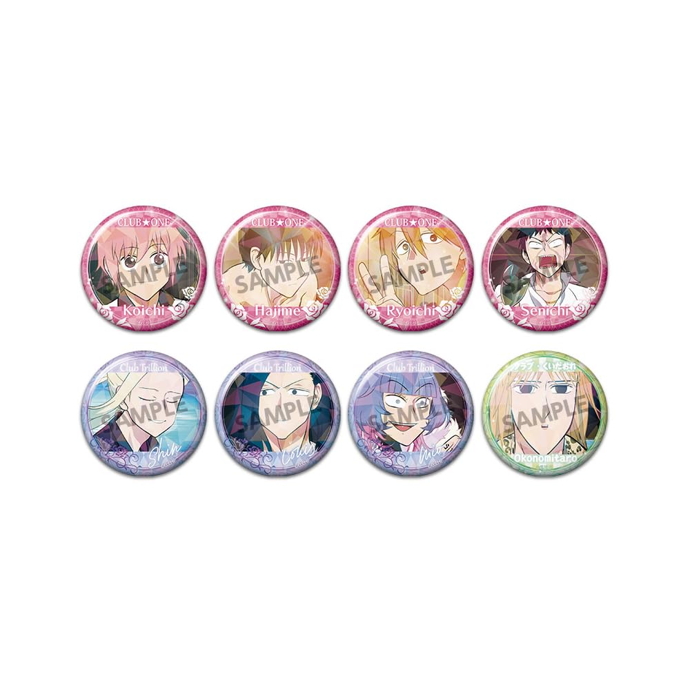 Anime Trading Hologram Can Badges  Everyday Host