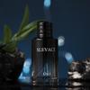 Gulong Men's Perfume - Long-lasting Seductive Blue Ocean & Earthy Scent
