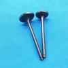 Intake Valve & Exhaust Valve Stem Kit For HISUN STRIKE 250CC HS250 P013000147210000,P013000147110000