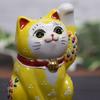Waza No Kura Stylish Lucky Charm Kutani Ware Yellow Glaze Perfect for Grand 60th 70th 77th Birthday Feng Interior and Gifts Left-Handed Maneki-neko