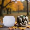 Multifuntional Children Silicone Mold for Resin Concrete Casting Decorative Succulent Planters and Jewelry Displays