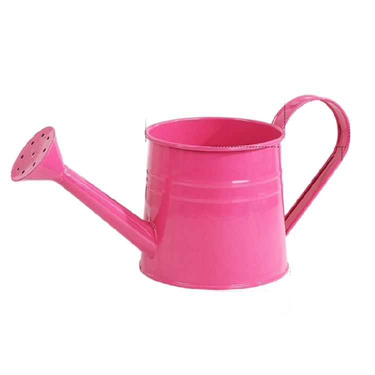 

Metal Watering Can for Indoor Plant Long Spout Watering Can Indoor Watering Can for House Plant Flowers Succulents рожевий червоний колір