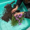 Plant Repotting Mat, Waterproof Transplanting Mat, Indoor Succulent Potting Mat, Portable Gardening Mat