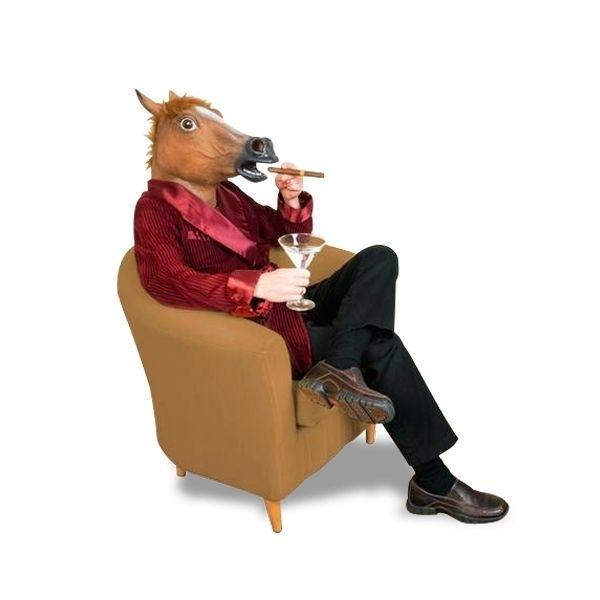 Eurowebbiz Brown Horse Head Mask Fancy Dress Latex Costume