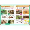 Gakken Science and Learning Ant House Playset for Ages 6 and Up Educational Toy