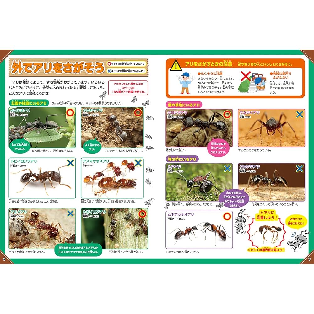 Gakken Science and Learning Ant House Playset for Ages 6 and Up Educational Toy
