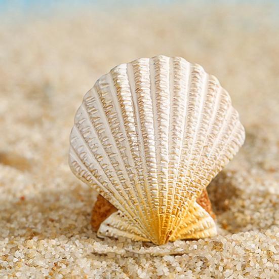3/11Pcs/Set Miniature Seaside Theme Toy Kit Mini Resin Surfboard Seashell Seabirds Dolphin Starfish Boats Bucket Shoes Sun Model Summer Beach