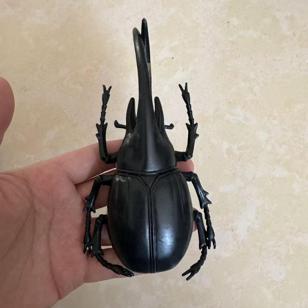 Biographical Analysis of Deer Antler Beetle and Claw Shaped Insect Beetle Gacha Simulation Animal Movable Joints Figure Toys