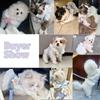 Cute Princess Style Cat Harness and Leash Sets Vest Adjustable for Small Dog Cat Rabbit Pet Harness Out Walking Cat Accessory