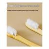 Montessori Toddler Tooth Brushing Practice Aid - Educational Model for Kindergarten