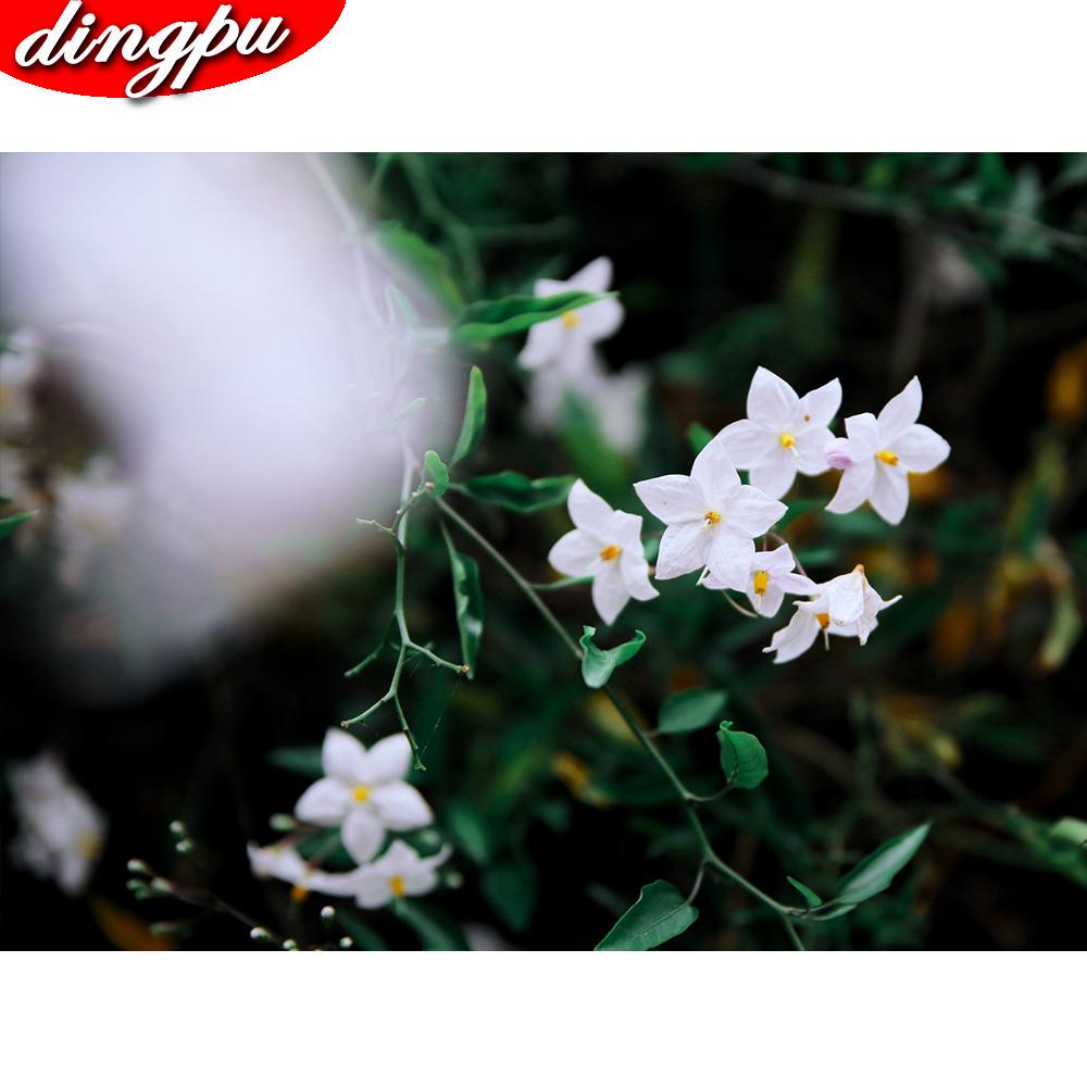 5D DIY diamant schilderij volledige ronde klaproos bloem kit diamant borduurwerk mozaïek decoraties thuis