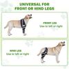 Canine Hip Knee Wrap With N't Slip Design For Sacroiliitis Care And Regulate Belts