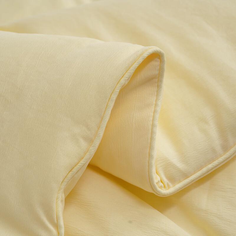 Mercury Home Textiles Soybean Antibacterial All-Season Fiber Quilt